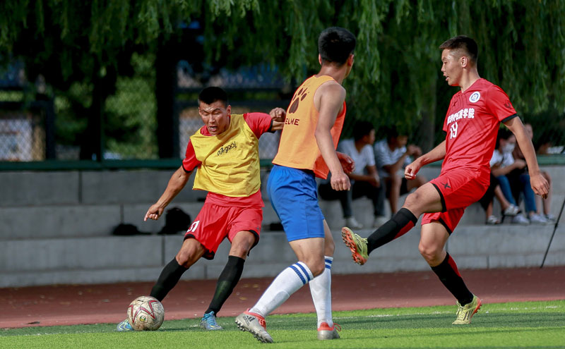 本轮亚冠精英观众人数：成都27836人居首，申花第4，海港第5（本轮亚冠精英上座人数榜：成都以27836人领跑，申花第4，海港第5）